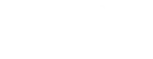 SRDB - Logo sans texte - Blanc fond transparent